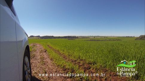 VAI DA BR PARA A FAZENDA.00_01_35_05.Quadro016_ea34c78197e5ef44db6fcfa91041f723b1ad6643.jpg